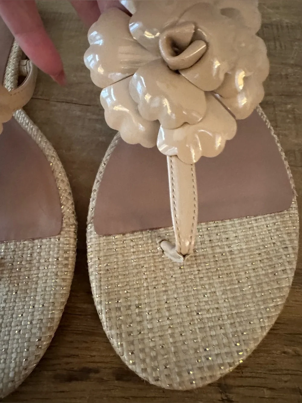 Linea Paolo Laurel Flower Sandal ~ Nude Size 10